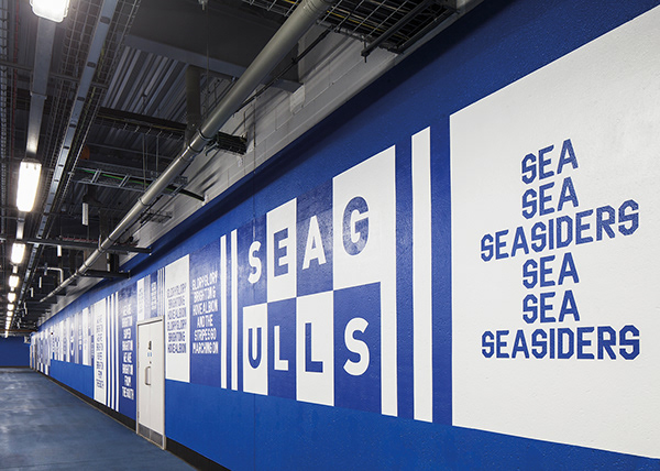 Brighton & Hove Albion FC — Filthy Seagull Display