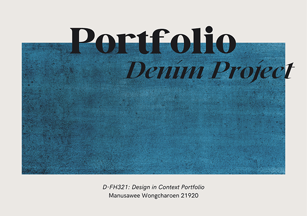 Denim Project Portfolio 2021