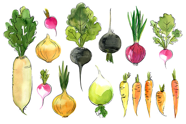 Food watercolor. Vegetables
