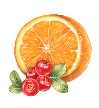 package design labels Fruit vegetables apple orange Food  drink botanical