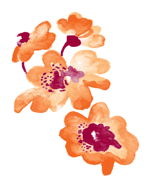 pattern flower watercolor colours draw