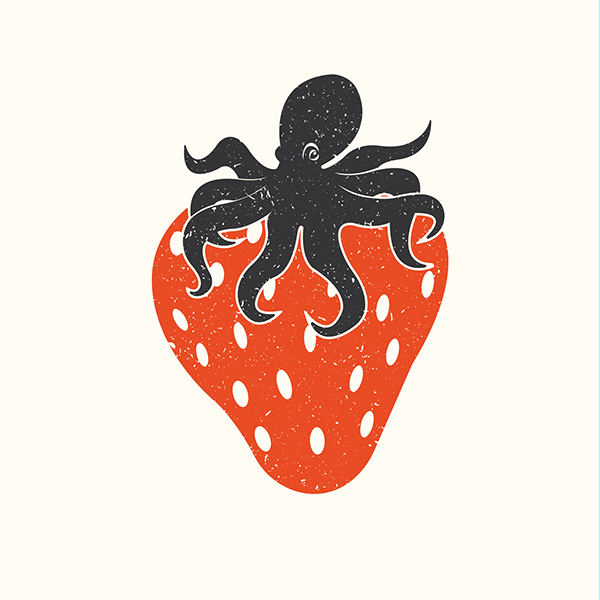 爱吃草莓的章鱼