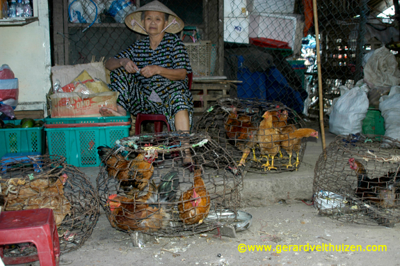 vietnam  hanoi  saigon Ho Chi Min city Vinh Long Mekong Delta hoi an hue Mai Châu  Long Bay