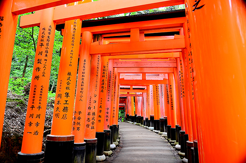 japan fushimi Taisha Inari temple orange kyoto 日本 伏見稲荷大社 京都