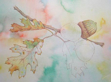 acorns oak Nature nuts Pointillism colored pencil