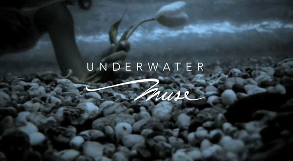 muse underwater water Corporate Identity logo Brand Design underwater muse