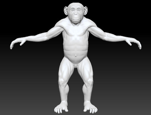 monkey macaco 3d notan Goodyear 3D thefoundry modo3D modo chimp chimpanzee