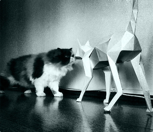 Cat 3D sculpture poly LOW polygon Brasil Brazil CG CGI paper Real virtual digital