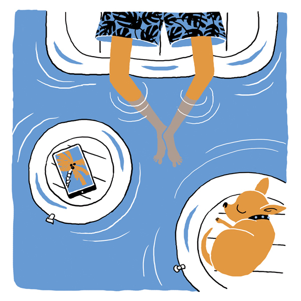 luxury dog blue orange smartphone digitalart ILLUSTRATION 