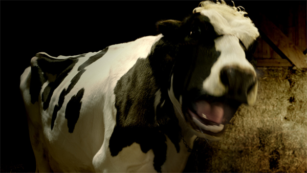 CGI softimage nuke shading Render cow making of compositing 3D