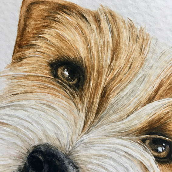 animal watercolor art dog dog illustration Dog painting painting   pet art pet illustration Pet Portrait Realistic Painting