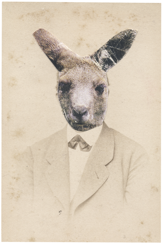 bunny kangaroo portrait Easter