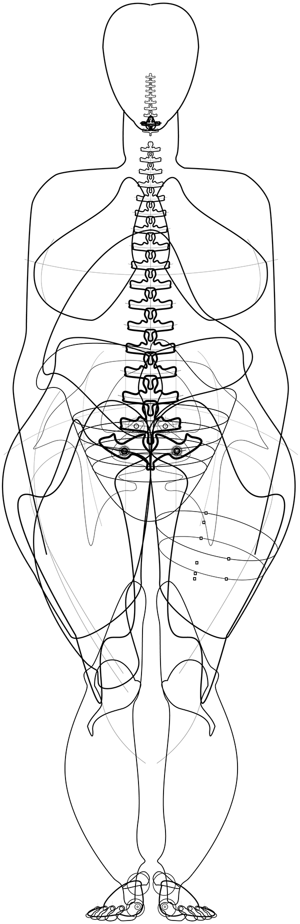anatomies Alternative Anatomies Techno-Fractal Anatomies