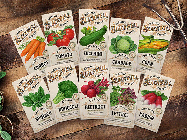 Vegetable Paintings for New Zealand's Blackwell & Sons