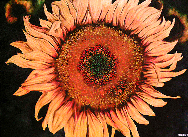 disa sunflower Marigold orchid Flowers paint acrylic
