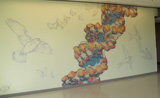 biology  mural  Illustration DNA animal Plant bird college