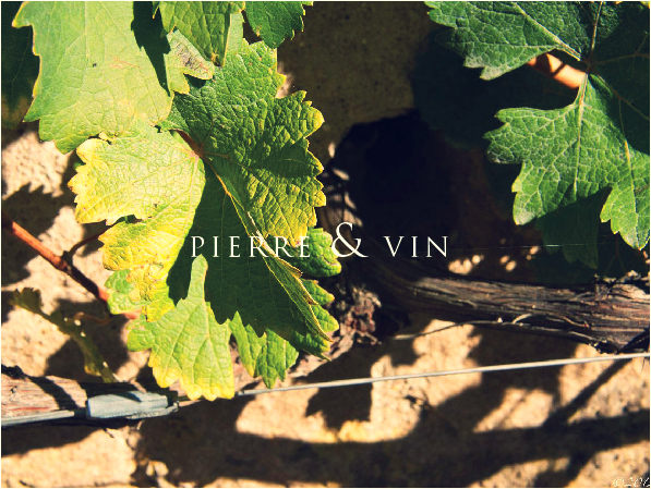 vine wine parnay chateau chateu de parnay