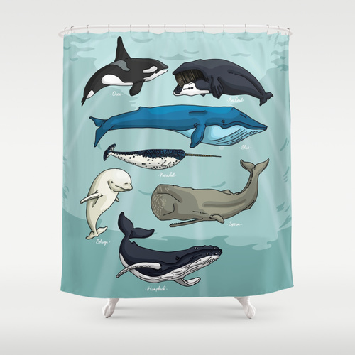 Whale dolphin seaworld print animal sea