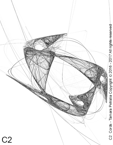arte digitale illustrazione grafica digitale corde cordes cords frattali