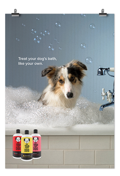 dog dog products shampoo Dog Shampoo brand