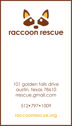 Raccoon Rescue raccoon Pygmy Raccoon endangered species business card envelope letterhead company