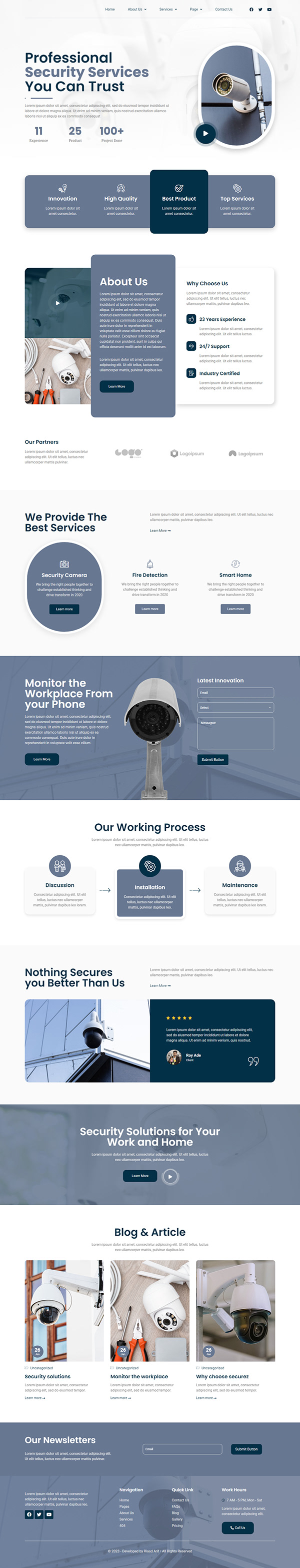 CCTV & Security System Website | wordpress website