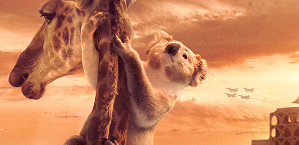 King Koala Photo Composite