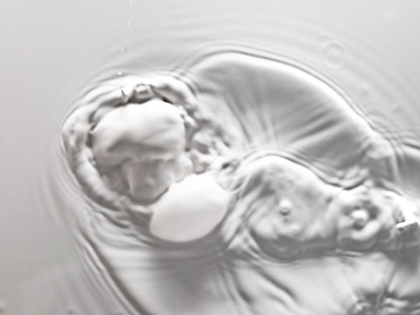 Liquid milk  abstract abstract