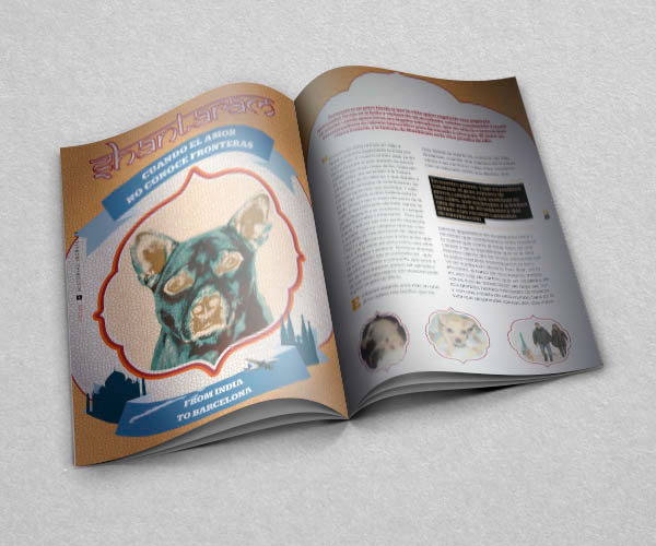 Funkypet pets graphic design jordimasdisseny disseny diseño Grafic grafico magazine revista