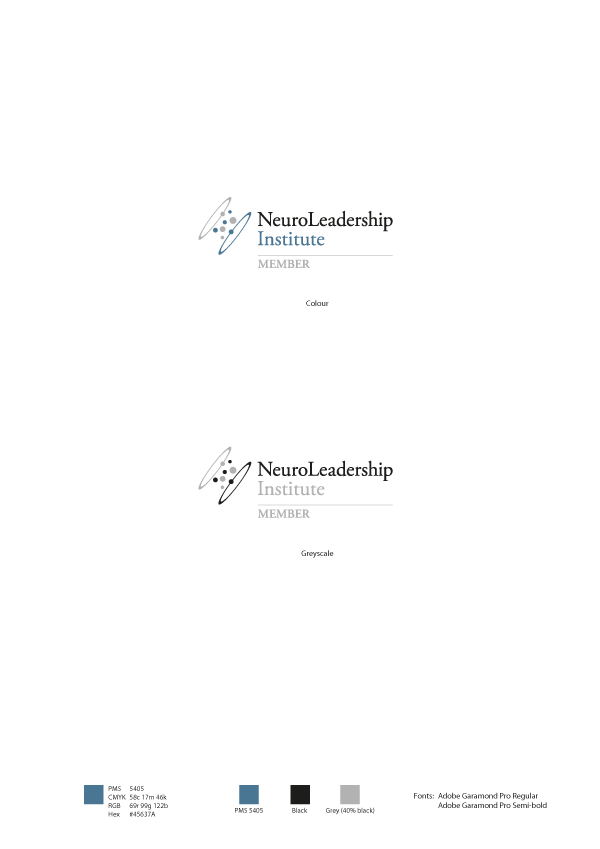Adobe Portfolio logo Corporate Identity