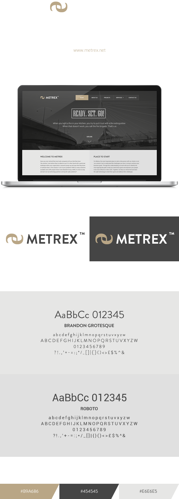Metrex Systems Inc clean design redesign dark grey gold