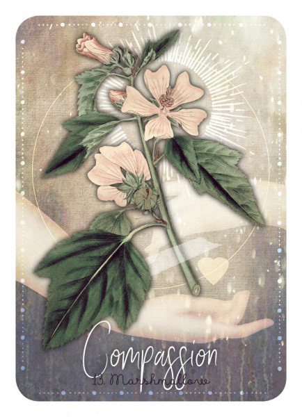 oracle Magic   Magickal Wicca plants botanical cards cards deck vintage botanical plates