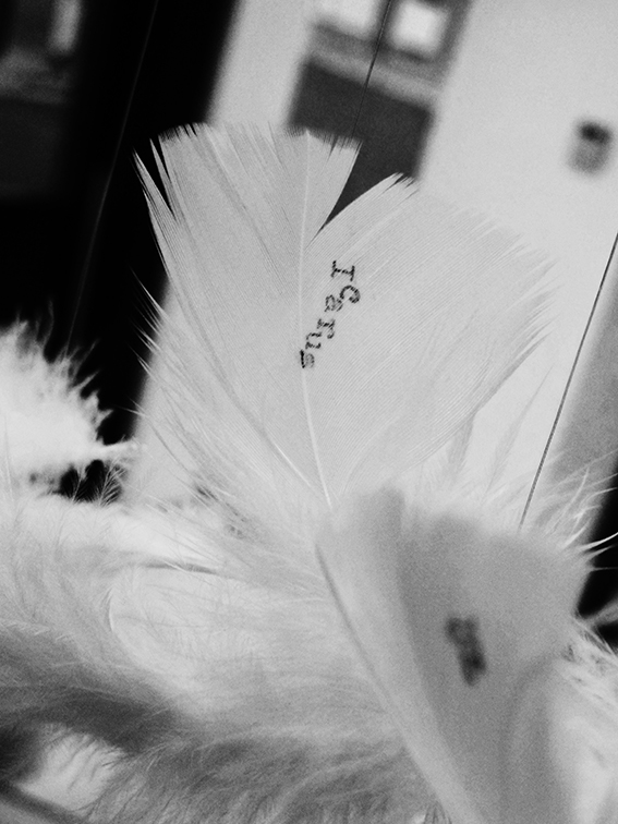 Icarus mythology social networks fine art installation feather typewriter corporart contemporary art
