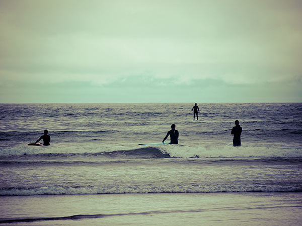 Canada  Tofino  vancouver island  British Columbia  pacific rim  surf  sea  Waves  people   bear  Seal   whales