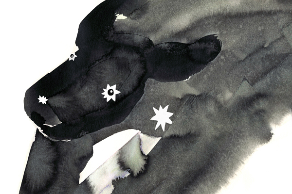 exploration Children's Books imagination constellation Story telling ink watercolour dog children Travelling adventure cosmic Flying Dog