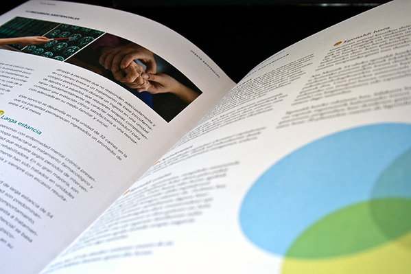 anual report identity brochure