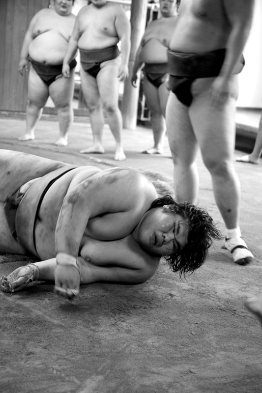 japan sumo sport