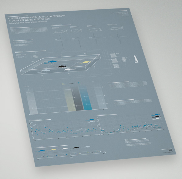 information design biology blue fish tests infographic