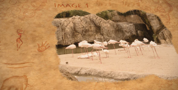 wild journey Travel Ethnic africa world exotic beach agency tour photo Album adventure vacation zoo