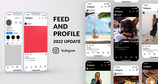 FREE Instagram Feed and Profile PSD UI Light/Dark Mode