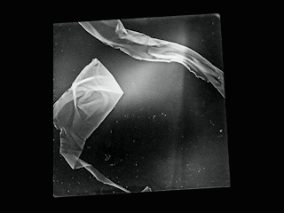 dadaism Man Ray Christian Schad photomontage Photogram rayogram Schadograph contemporary art