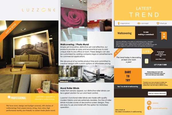 luzzone brochure flyers design identity