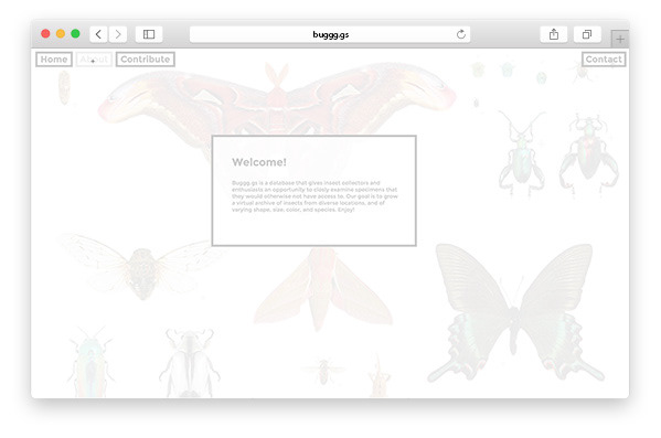 jquery HTML Web bugs Insects Coleoptera