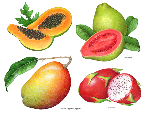 30 Years of Mango Packaging Illustrations