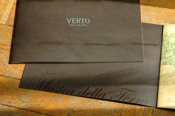 verto landshaft company logo Booklet Collateral print corporate Nature luxury design paper exclusive brown Classical modern neoclassic horizontal landshafts musica della terra music of earth