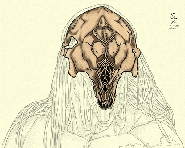 Predator Sketch drawing by Oz Galeano