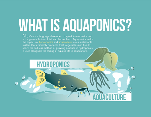 Explain what is aquaponics 19 new subjects implemented in South Africa’s schools