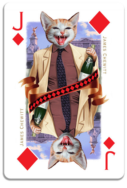 cats Cat cards