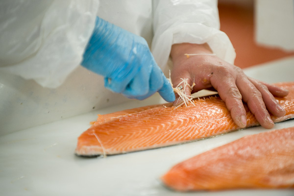 prime meat factory processing butchery fish monger knife scotland linlithgow hygiene campbell's chop slice cut Fillet
