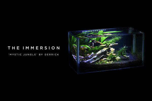 Aquascape by Derrick, The Immersion: 'Mystic Jungle'